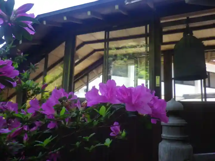 安國論寺(安国論寺)の自然