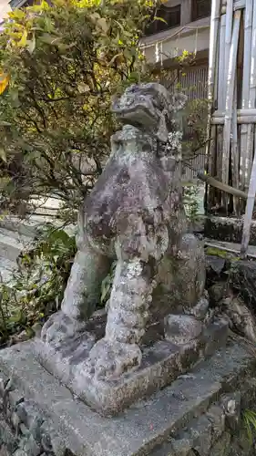 宇治神社の狛犬