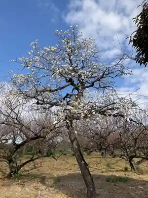 瑞雲寺(神奈川県)