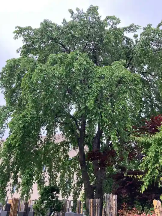 聖輪寺(東京都)