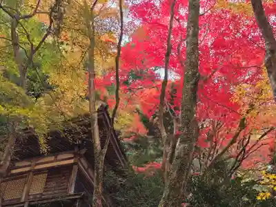 大威徳寺(大阪府)