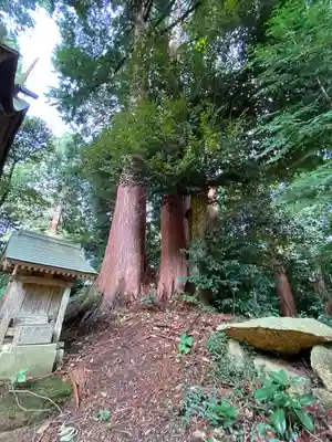 吉川八幡宮(岡山県)
