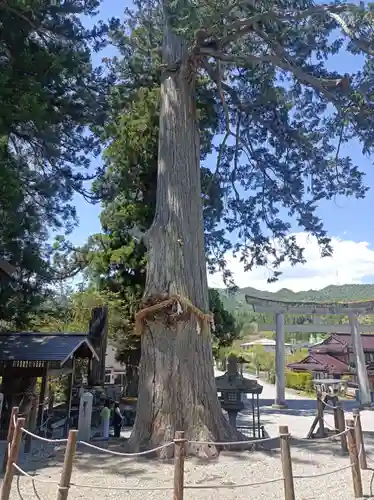 飛驒一宮水無神社(岐阜県)