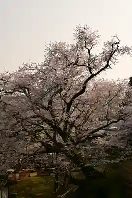掌禅寺(愛媛県)