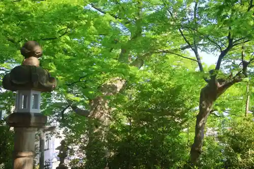 愛宕神社の自然