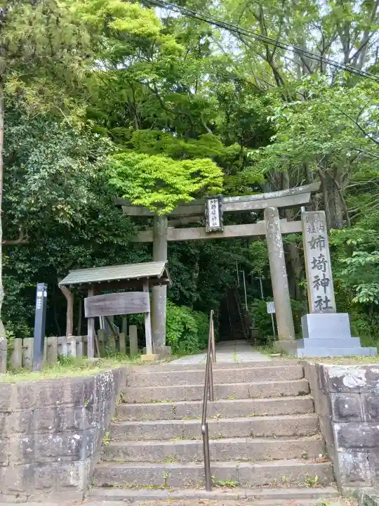 姉埼神社の{uncategorized: "未分類", other: "その他", undefined: "問題あり", building: "その他建物", grave: "お墓", sacred_gate: "鳥居", guardian: "狛犬", statue: "像", buddha: "仏像", history: "歴史", nature: "自然", garden: "庭園", animal: "動物", pagoda: "塔", temizu: "手水舎", mountain_gate: "山門・神門", sanctuary: "本殿・本堂", subordinate: "末社・摂社", art: "芸術", scenery: "景色", jizo: "地蔵", ema: "絵馬", goshuin: "御朱印", omikuji: "おみくじ", items: "授与品その他", amulet: "お守り", goshuincho: "御朱印帳", eats: "食事", festival: "お祭り", votive_dance: "神楽", shichigosan: "七五三参", wedding: "結婚式", experience: "体験その他", initially: "初詣", around: "周辺", anti_infection: "感染症対策"}