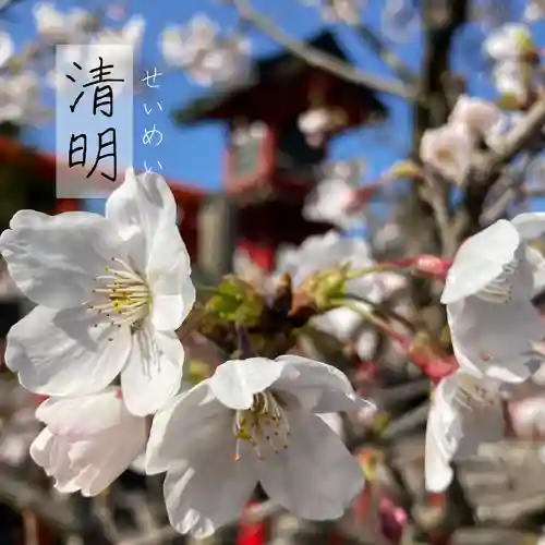 總社 和田八幡宮の自然
