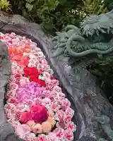 三輪神社の手水舎