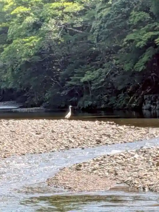 厚別神社(北海道)
