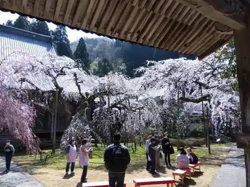 西雲寺(福井県)