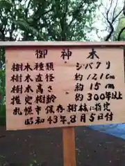 相馬神社の自然