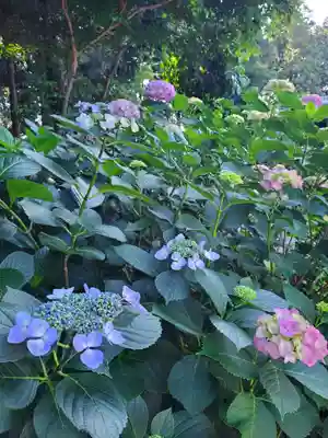 沙沙貴神社(滋賀県)
