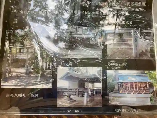 八幡社（白金八幡社）(長野県)