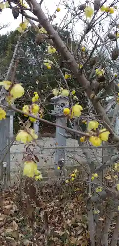 比佐豆知神社(三重県)