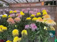 亀戸天神社の庭園