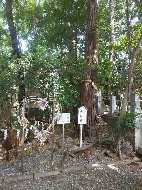 座間神社の自然