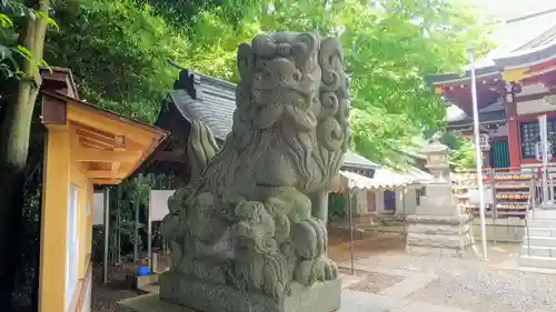 南沢氷川神社の狛犬