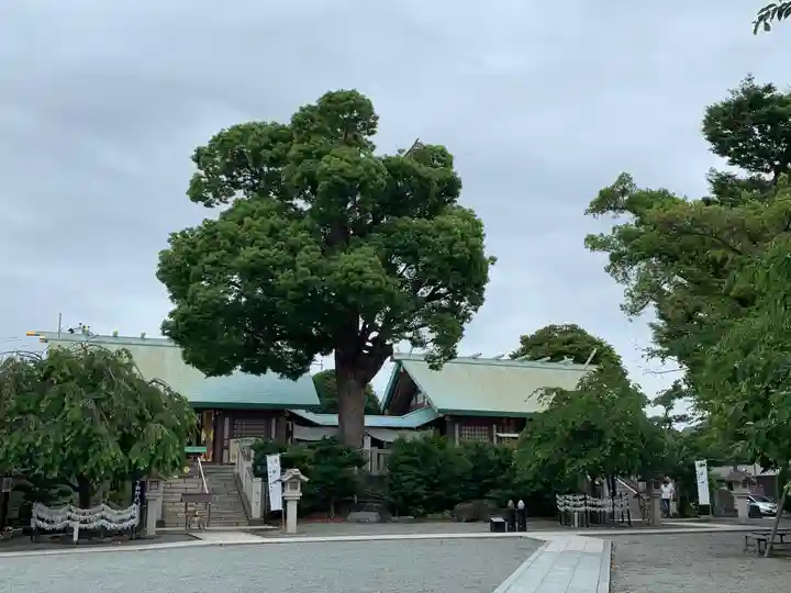 伊勢原大神宮の本殿・本堂