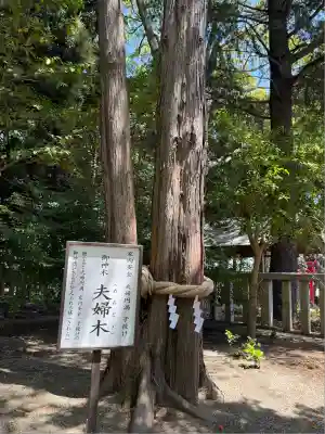 常陸第三宮 吉田神社(茨城県)