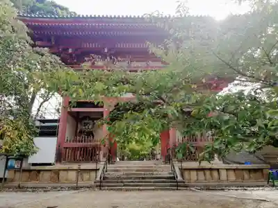 醍醐寺の山門・神門