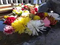 杉杜白髭神社(福井県)
