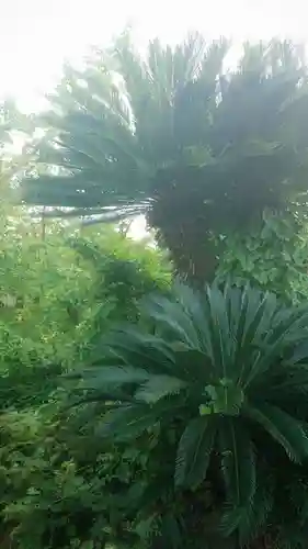 豊福稲荷社の自然