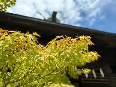 新潟大神宮(新潟県)