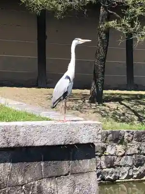 東寺（教王護国寺）(京都府)