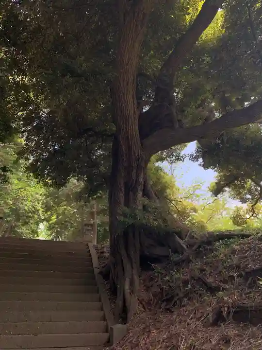 上下諏訪神社(千葉県)