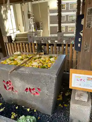 高円寺氷川神社(東京都)