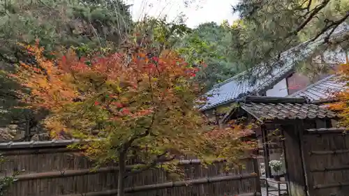 地蔵院(京都府)