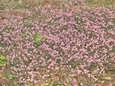 達身寺(兵庫県)