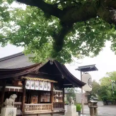 尾張大國霊神社(国府宮)の本殿・本堂