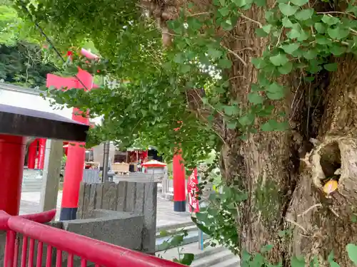 徳島眉山天神社の建物その他