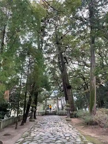 櫻井神社(福岡県)