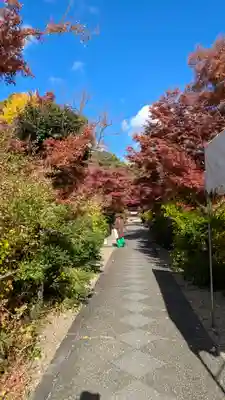 梨木神社(京都府)