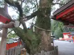 熊野那智大社(和歌山県)