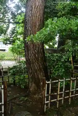 祇園寺(東京都)