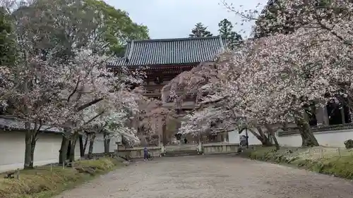 醍醐寺(京都府)