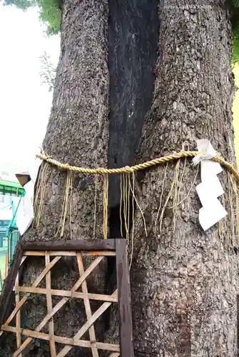 五方山熊野神社(東京都)