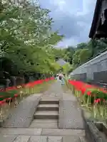 横浜 西方寺(神奈川県)