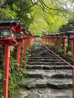 貴船神社(京都府)