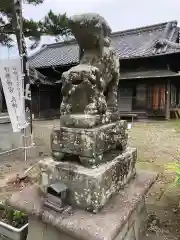 大麻比古神社の狛犬