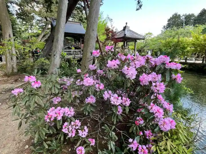 白毫寺熊野権現社(兵庫県)