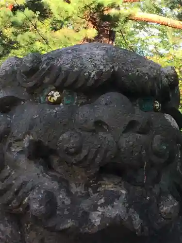 今金八幡神社の狛犬