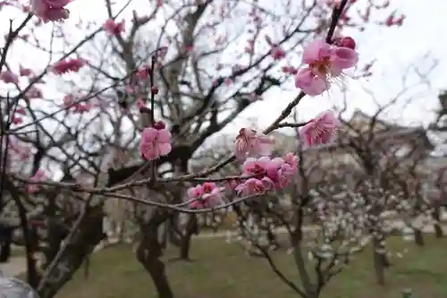 北野天満宮の庭園