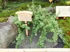 寒川神社の建物その他