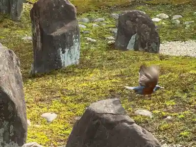 光明院（光明禅院）(京都府)