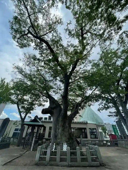 阿邪訶根神社(福島県)