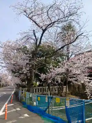 龍神社(愛知県)